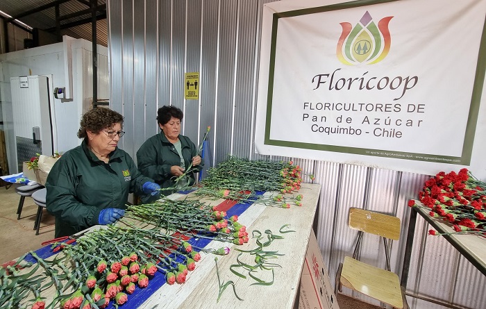 Aniversario Cooperativa Floricoop 3