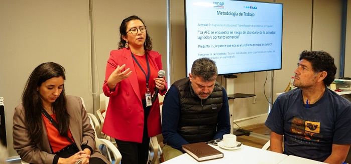 Comisiones-Temáticas-Proceso-Planificación-Estratégica-INDAP-2022-2026-Interior3
