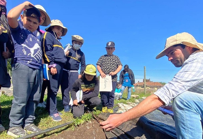 Cultivos de Suelo Vivo - Pelluhue 2