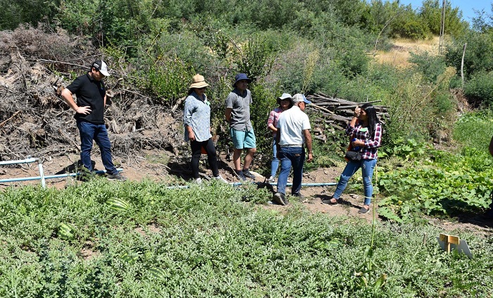 Día de campo Quillón sandías