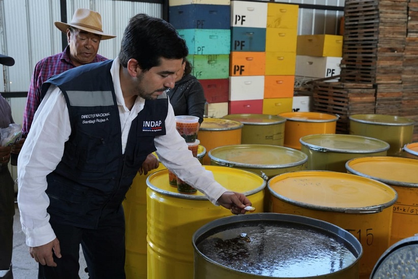 Santiago Rojas, director nacional de INDAP, conoció la producción del apicultor Pascual Farías