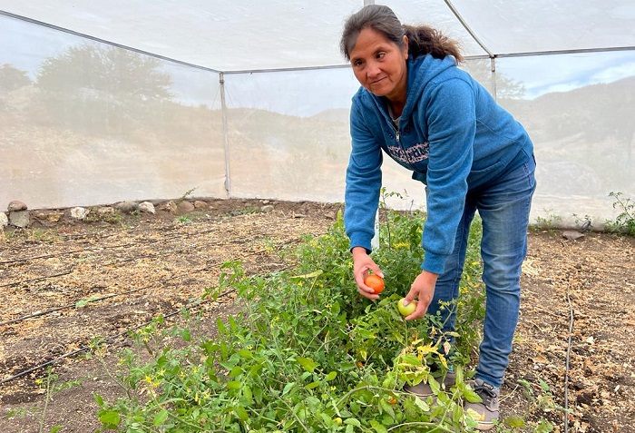 Erika Vicencio - agricultora Combarbalá 2