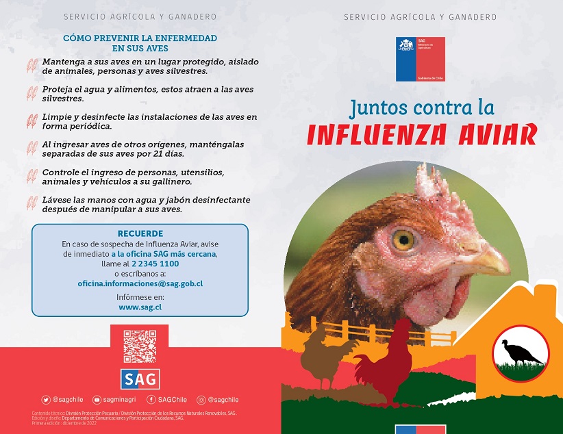 Recomendaciones para evitar contagio de gripe aviar en aves de corral