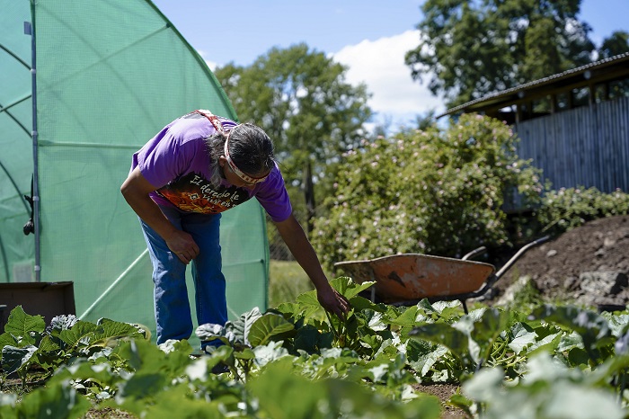 INDAP incorpora mejoras a Prodesal y beneficiará a más de 68 mil agricultores (4)Interior