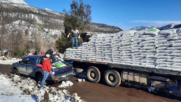 INDAP-Entrega-Ayudas-Emergencia-SiembraXChile-Alto-Biobío-4Interior