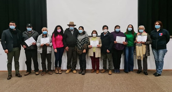 Incentivos de emergencia agrícola Palmilla 2