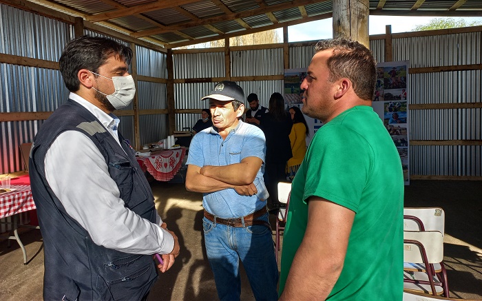 Indemnizaciones seguro agrícola Longaví 2