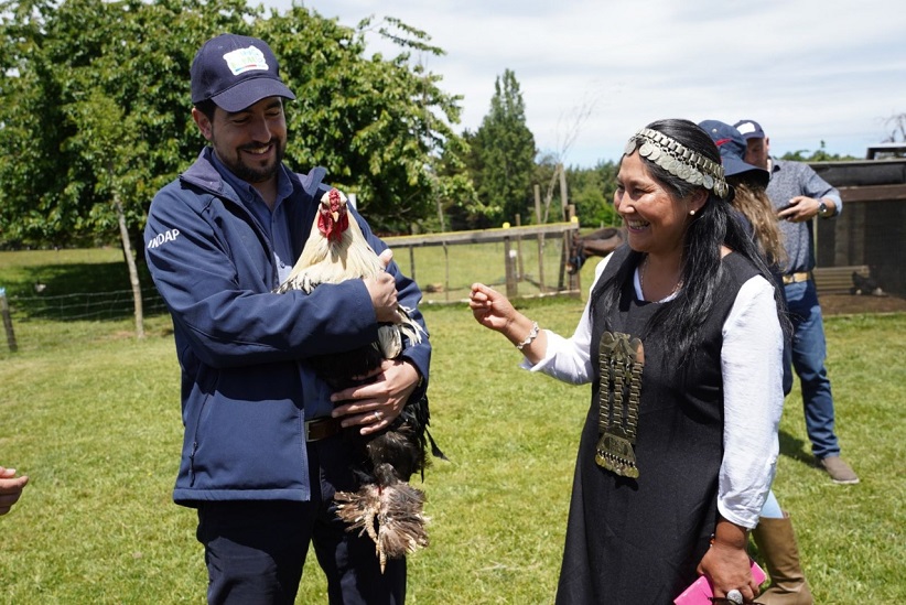 Granja educativa Reñma parte de la ruta 