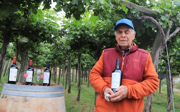 Mejor Vino Ancestral Jorge Letelier