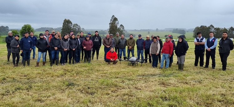 Mejoramiento genético Chiloé 2