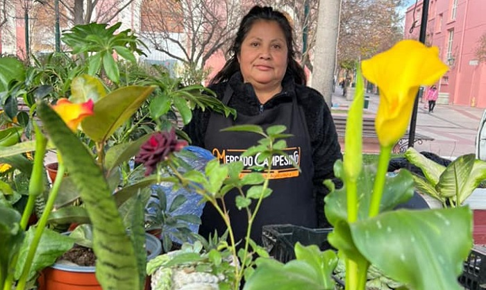 Mercado Campesino de Rancagua