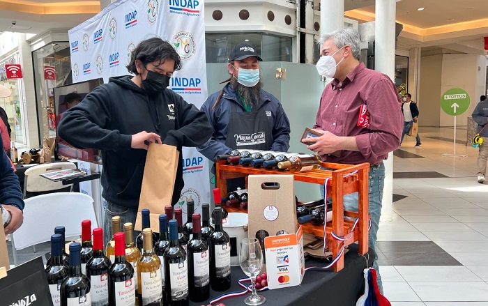 Mercado Campesino del Vino Biobío 2