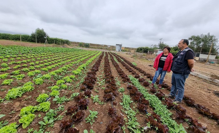 Obras de riego Coquimbo - Wilma Castro