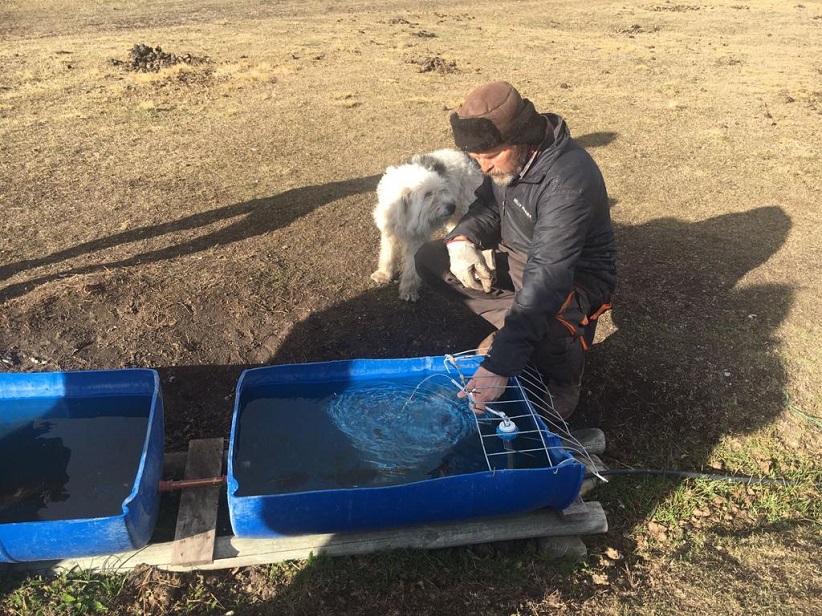 Iniciativa sistematiza el uso y recuperación de la pradera  