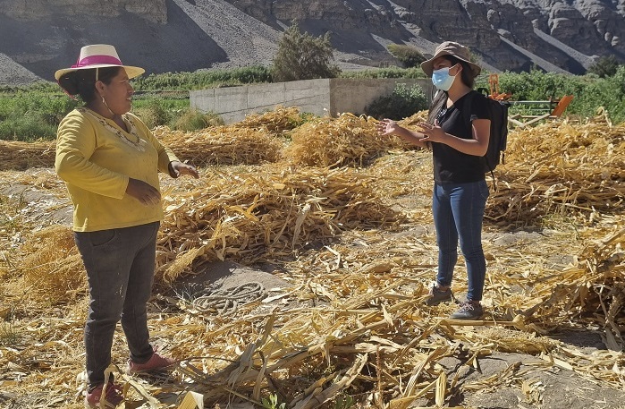 Plan de trabajo anual PDTI Tarapacá 2