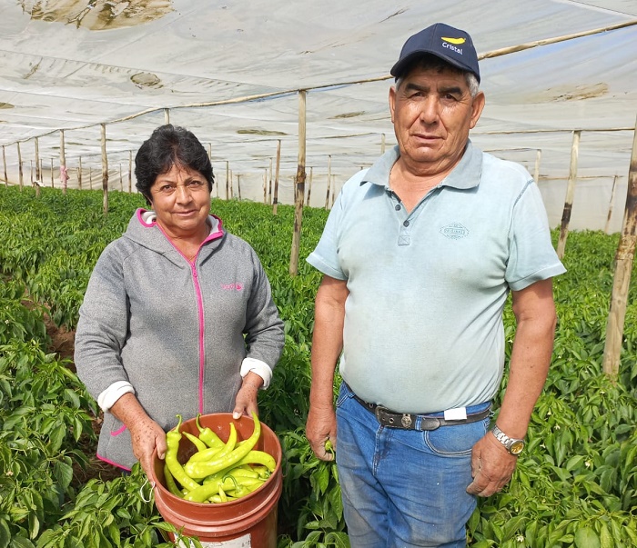 Siembra por Chile Vallenar - María Mundaca