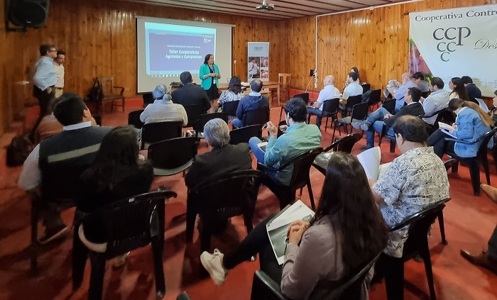 Taller cooperativas Coquimbo 2