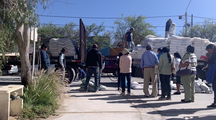 Tamarugal entrega fertilizantes 2