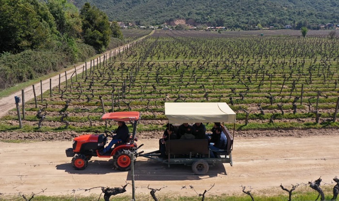 Tour RC Vinedos 2