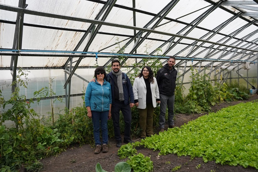 Hortalizas y algunas frutas como frutillas produce Rosa Cárdenas