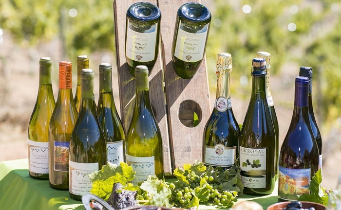 Vinos Herrera Alvarado