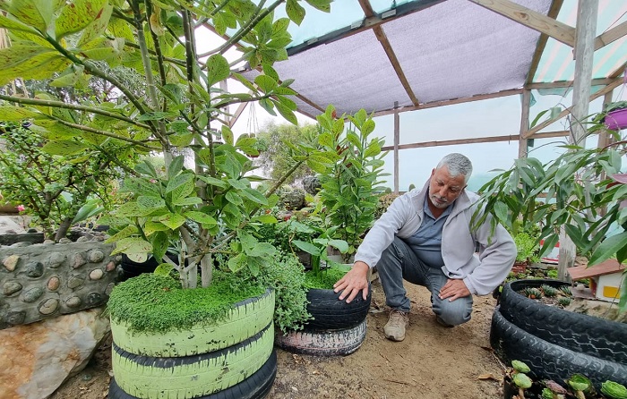 Vivero Antonio Escobar - La Higuera 4