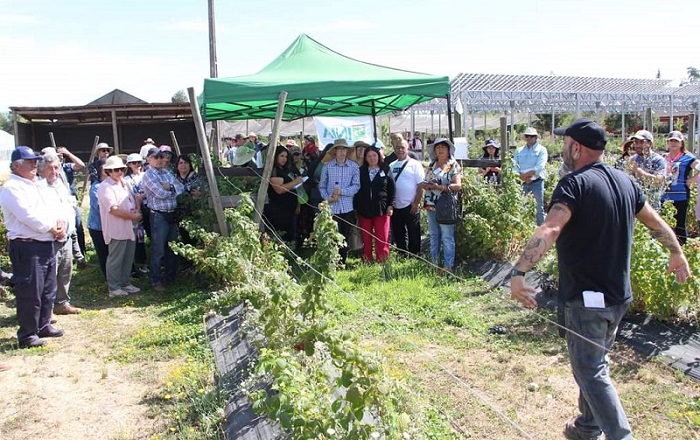 Encuentro regional TAS Maule 3