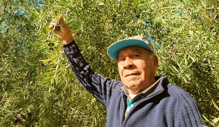 Héctor Galvarino Valdivia - Andacollo 2