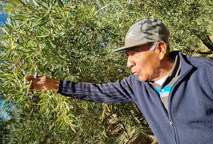 Héctor Galvarino Valdivia - Andacollo 3