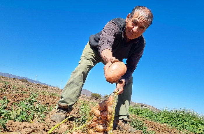 Hernán Tapia - agricultor Coquimbo 2