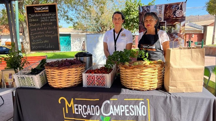 Mercados Campesinos verano Coquimbo 2