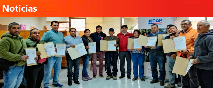 Noticias de seguros
