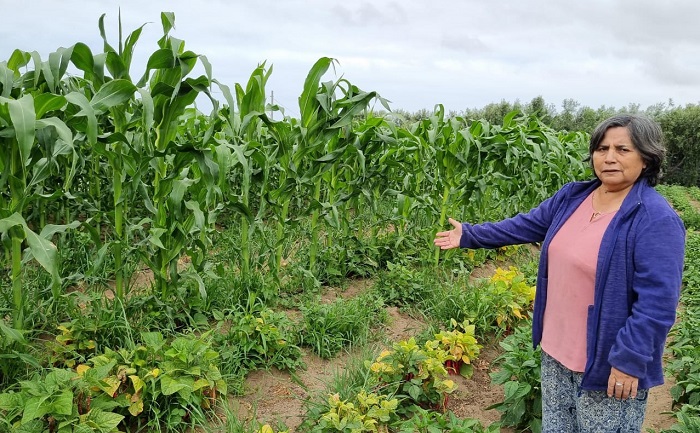 Patricia Villalobos - agricultora SAT La Higuera 2