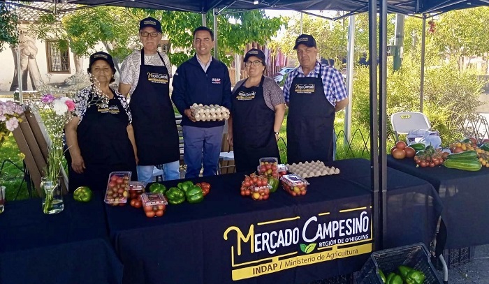 Nuevo Mercado Campesino Pichidegua 2