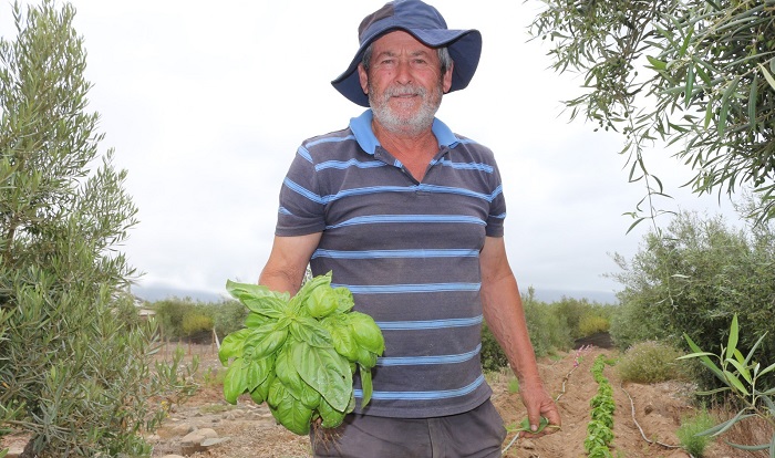 Roberto Barrera - agricultor La Higuera 2