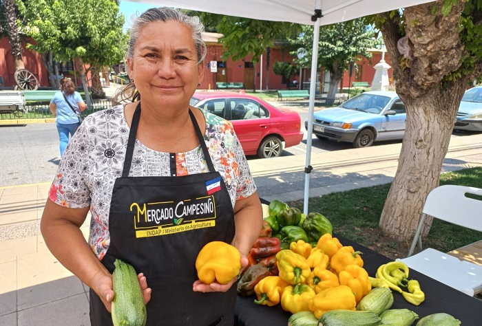 Mercado Campesino San Esteban 3