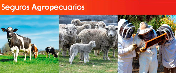 Seguros agropecuarios