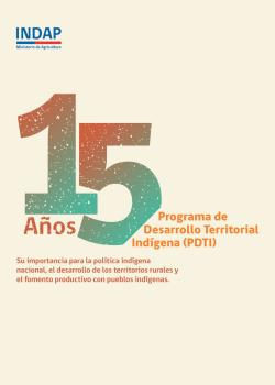 15 años del programa PDTI