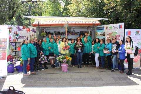 Mujeres dominan el sector agrícola de Biobío con una presencia del 53% en INDAP