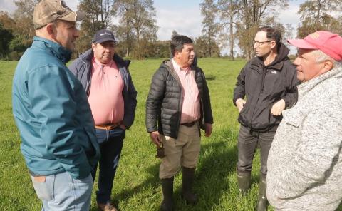 Programa suelos agrícolas Los Lagos 2