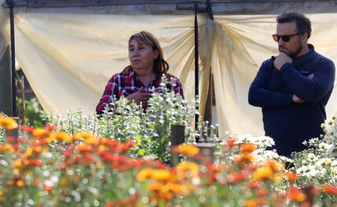 Valeria González - floricultora comuna de Maule 2