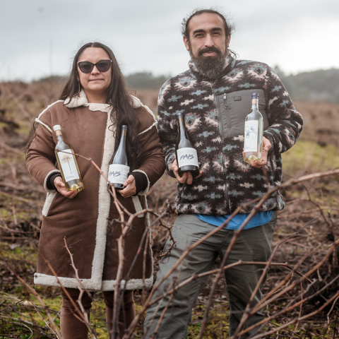 David Martel y Liz Soto, Viña Guarilihue