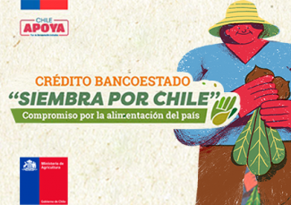 Siembra por Chile (Banco Estado)