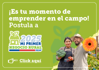 Convocatoria Mi primer negocio rural 2025