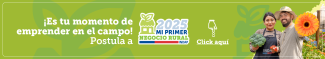 Convocatoria Mi primer negocio rural 2025