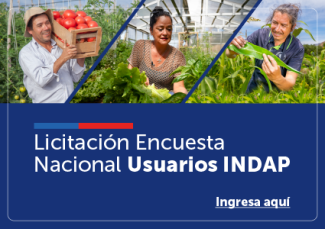 Licitación usuarios de INDAP