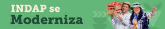 Indap se moderniza