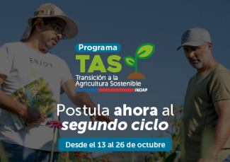 TAS segundo ciclo