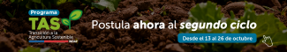 TAS segundo ciclo