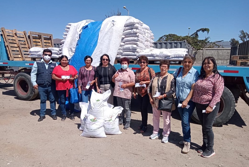 Humus de lombriz Coquimbo 1